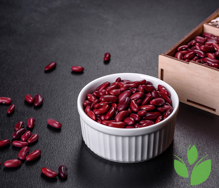 Carmine in Pet Food and Ink Production